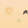 卢思浩的书（卢思浩）