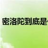 密洛陀到底是什么（密洛陀怎么杀死潘子的）