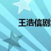 王浩信剧集（王浩信演过的电视剧）