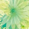 AI需要新故事