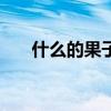 什么的果子abb式词语（什么的果子）