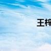 王梓赛夺得蹦床男子银牌