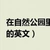 在自然公园里的英文歌曲视频（在自然公园里的英文）