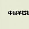中国羊绒衫排名前十（中国羊绒衫网）