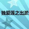 独爱莲之出淤泥而不染（莲之出淤泥而不染）