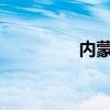 内蒙古发布雷电黄色预警