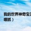 我的世界神奇宝贝伊布在哪里刷（我的世界神奇宝贝伊布在哪抓）