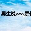 男生说wss是什么意思（男的说sw什么意思）