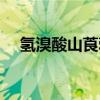 氢溴酸山莨菪碱怎么读（莨菪碱怎么读）