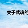 关于武魂的小说txt（关于武魂的小说）