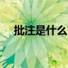 批注是什么?要怎么写?（批注什么意思）