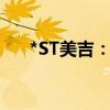 *ST美吉：公司股票被终止上市暨摘牌