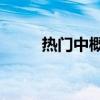 热门中概股普涨 理想汽车涨超5%