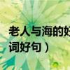 老人与海的好词好句摘抄英文（老人与海的好词好句）