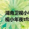 湖南卫视小年夜春晚2024节目单表（湖南卫视小年夜tfboys）