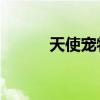 天使宠物怎么样（qq宠物天使）