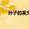 孙子的英文怎么读语音（孙子的英文）