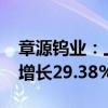 章源钨业：上半年实现净利润1.12亿元 同比增长29.38%