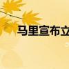 马里宣布立即断绝与乌克兰的外交关系