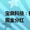 宝鼎科技：控股股东提议实施2024年度中期现金分红