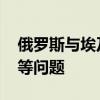 俄罗斯与埃及两国外长通电话 讨论巴以局势等问题