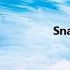 Snap美股盘后跌超23%