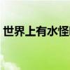 世界上有水怪吗真实视频（世界上有水怪吗）