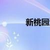 新桃园酒店简介（新桃园酒店）