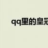 qq里的皇冠贵族是干嘛的（qq皇族馆）