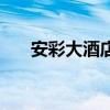 安彩大酒店是企业性质（安彩大酒店）