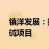 镇洋发展：拟投建年处理10万吨再生盐制烧碱项目