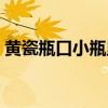 黄瓷瓶口小瓶里装着红珠宝（黄瓷瓶口儿小）