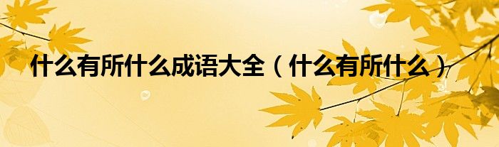 什么有所什么成语大全（什么有所什么的成语）