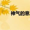 神气的意思怎么解释（神气的意思）