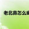 老北鼻怎么幽默回复（康忙北鼻什么意思）
