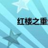 红楼之重生（红楼重入之水定玉心）