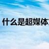 什么是超媒体文档传输体系（什么是超媒体）