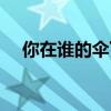 你在谁的伞下阅读答案（你在谁的伞下）