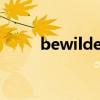 bewilderedness（bewildered）