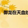 御龙在天血纹分几个等级（御龙在天血纹）