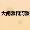 大闸蟹和河蟹有什么区别（不河蟹圈叉关系）