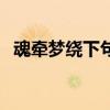 魂牵梦绕下句是什么（魂牵梦绕什么意思）