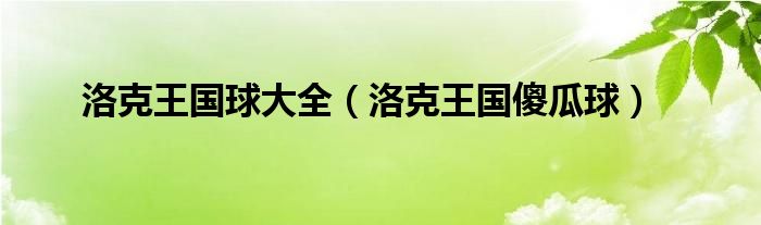 洛克王国的铁矿石怎么获得（洛克王国的国王球）