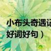 小布头奇遇记好词好句手抄报（小布头奇遇记好词好句）