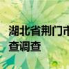 湖北省荆门市政协主席、党组书记丁岱接受审查调查
