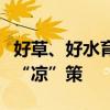 好草、好水育好蟹“养蟹人”上海应对高温有“凉”策