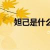妲己是什么神位的人（妲己是什么神）