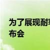 为了展现耐寒实力 比亚迪在雪山上开了场发布会