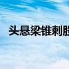 头悬梁锥刺股的锥是什么（头悬梁锥刺股）
