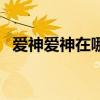爱神爱神在哪里演员表（爱神爱神在哪里）